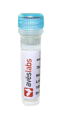 Monoclonal Antibodies